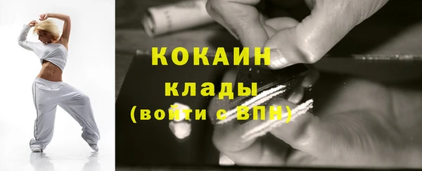 ГАЛЛЮЦИНОГЕННЫЕ ГРИБЫ Вяземский