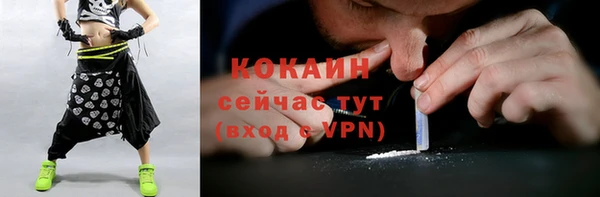 ГАЛЛЮЦИНОГЕННЫЕ ГРИБЫ Вяземский