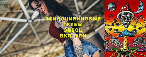 СК Вязники