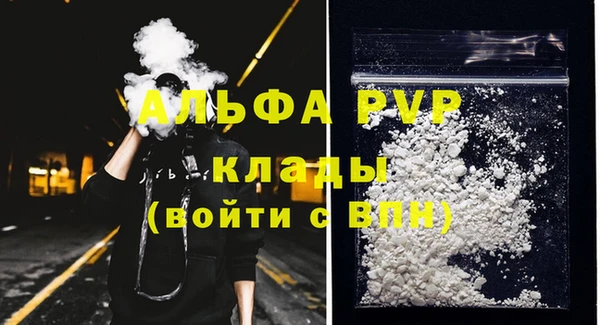 ГАЛЛЮЦИНОГЕННЫЕ ГРИБЫ Вяземский