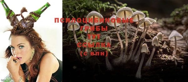 дмт Волоколамск